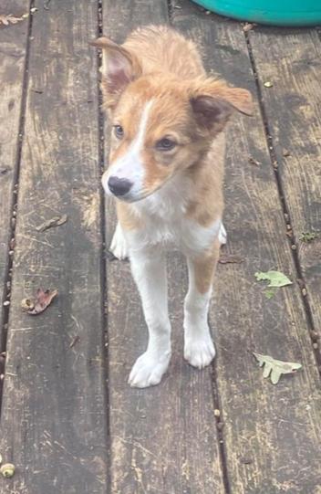 Flossie Marie