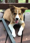Flossie Marie