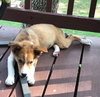 Flossie Marie