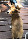 Flossie Marie