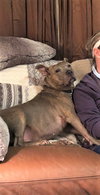 Nala