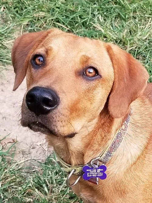 Rusty