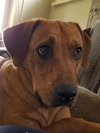 Rusty