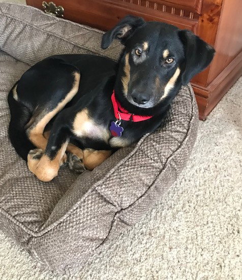 Ernie