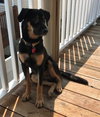 Ernie