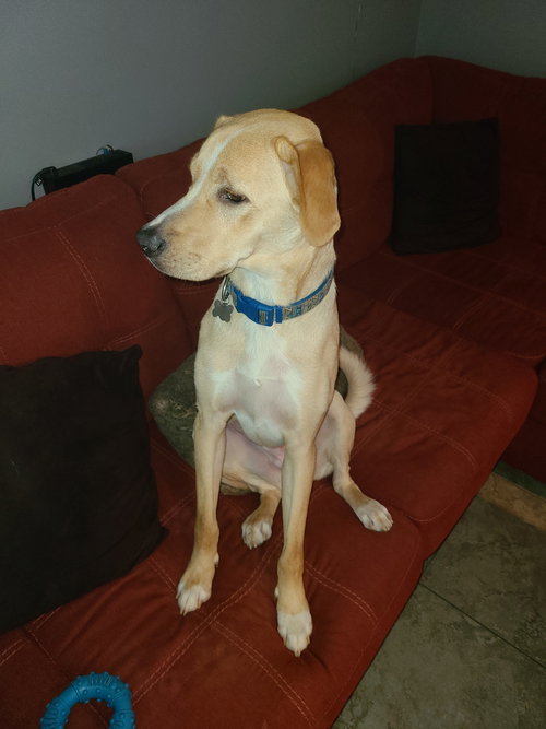 Duke