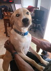 Duke