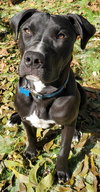 Bubba