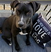 Bubba