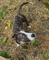 Winifred