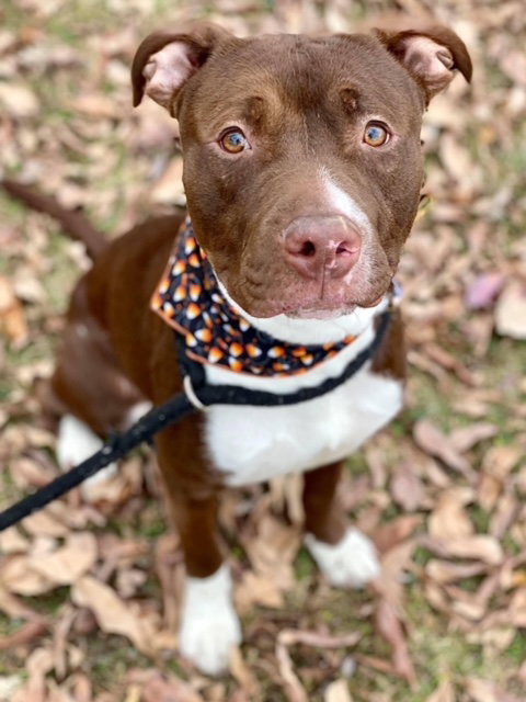 Tyson