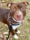 Tyson