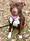 Tyson