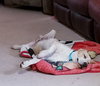 Emmitt