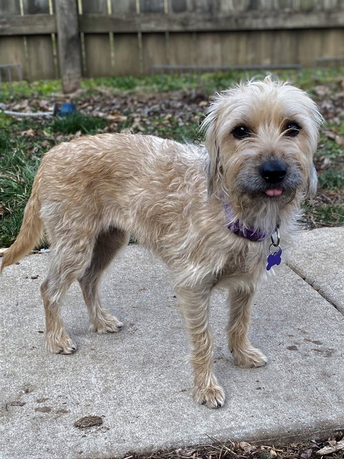 Bonnie