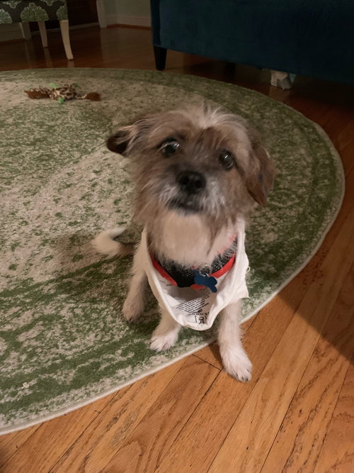 Albert