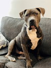 Titan