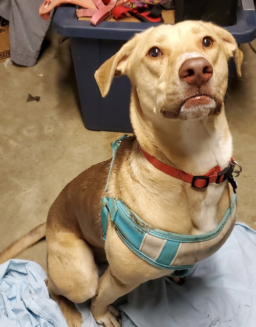 Max