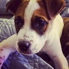 Barleigh