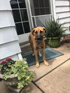Doug