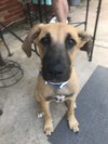 Doug