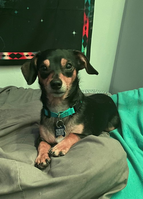 Cornelius