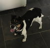 Mavis2