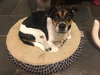 Mavis2