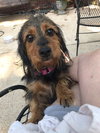 Esther