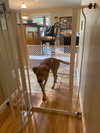 Clancey
