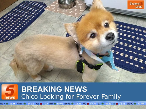 Chico