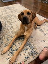Ernie