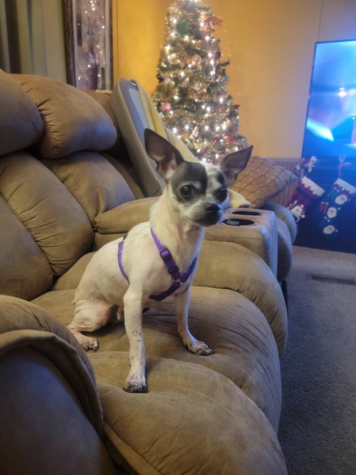 Molly Jane