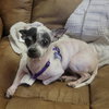 Molly Jane