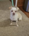 Kuzco