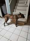 MurphyB