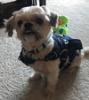 Tobie
