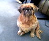 Tinkerbellanne