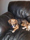 Sharla