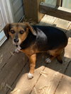 Sharla