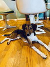 Twyla