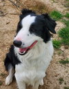 Ajax