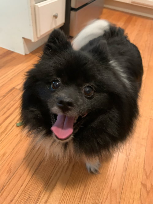 Molly Belle