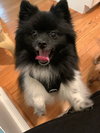 Molly Belle