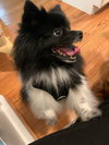 Molly Belle
