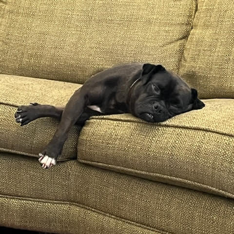 Maggie Mae