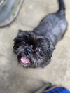 Agatha