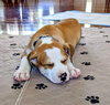 Benson