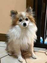 Keiko