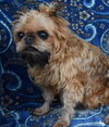 Marsha